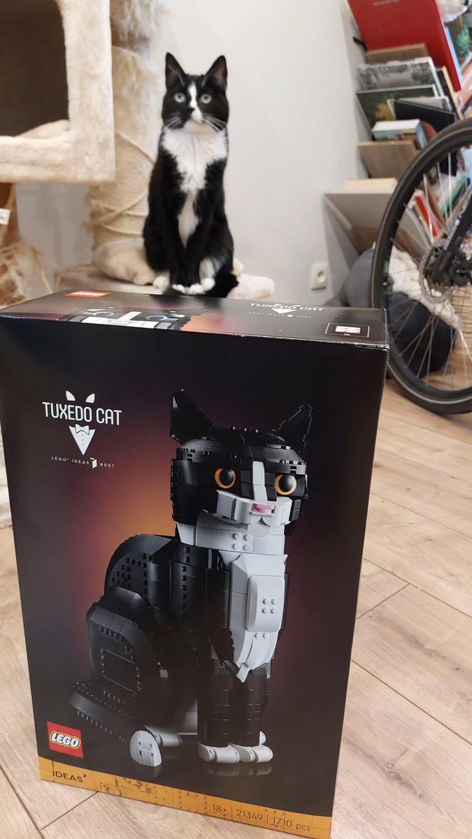 Rogue & Ranger tweet media