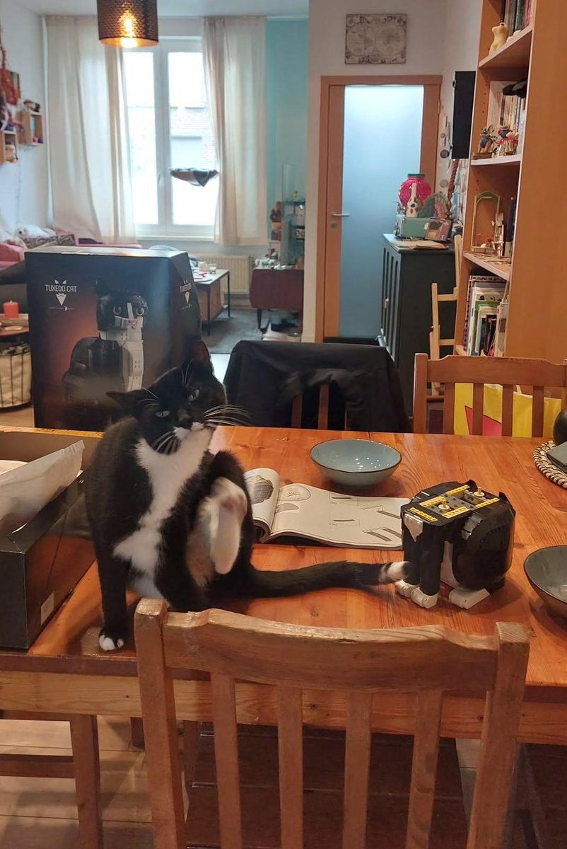 Rogue & Ranger tweet media