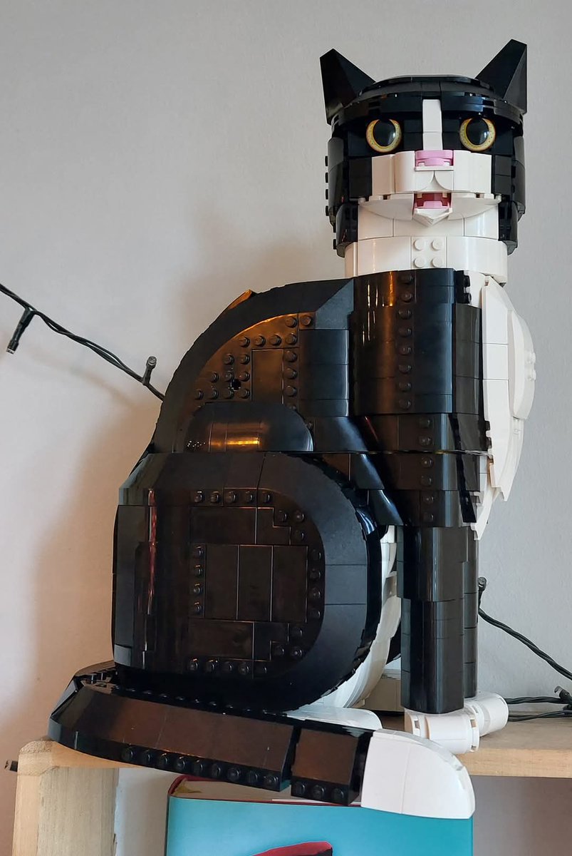 Rogue & Ranger tweet media