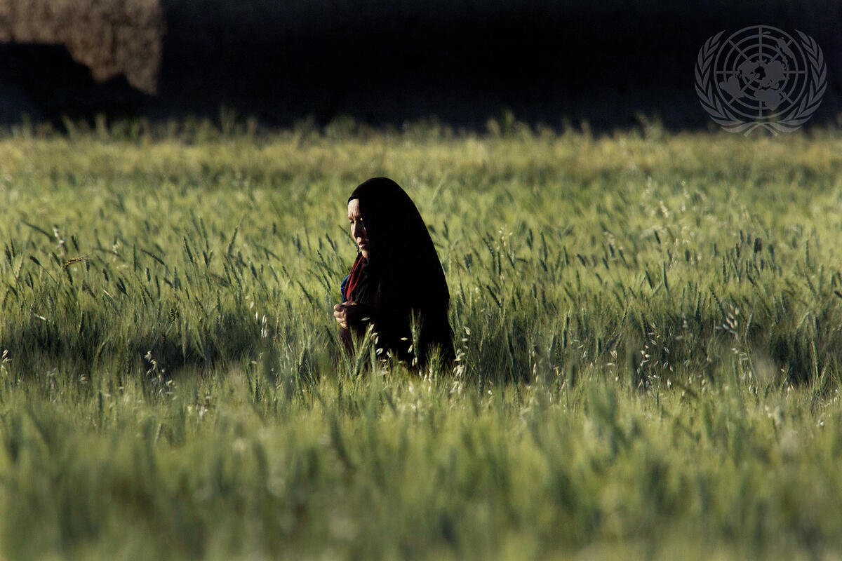 Today is #HumanRightsDay on theme "Our Rights, Our Future, Right Now"

See our Photo Essay on #HumanRights : 
bit.ly/UNPhotoHumanRi…

A woman walks through a field in Bamyan, Afghanistan.

UN Photo/Eric Kanalstein