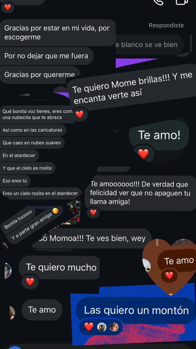 Mome🪼🪷🐚 tweet media
