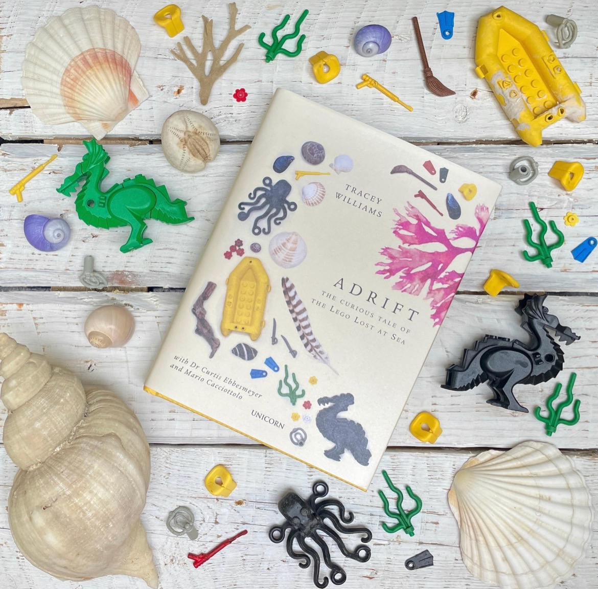 LegoLostAtSea's tweet photo. In case anyone's looking for last minute Christmas present ideas for beachcombers, ocean lovers, aficionados of Lego, environmentalists, etc there are still some copies of our book available.

#Shamelessplug https://t.co/r7nIrjn3bz