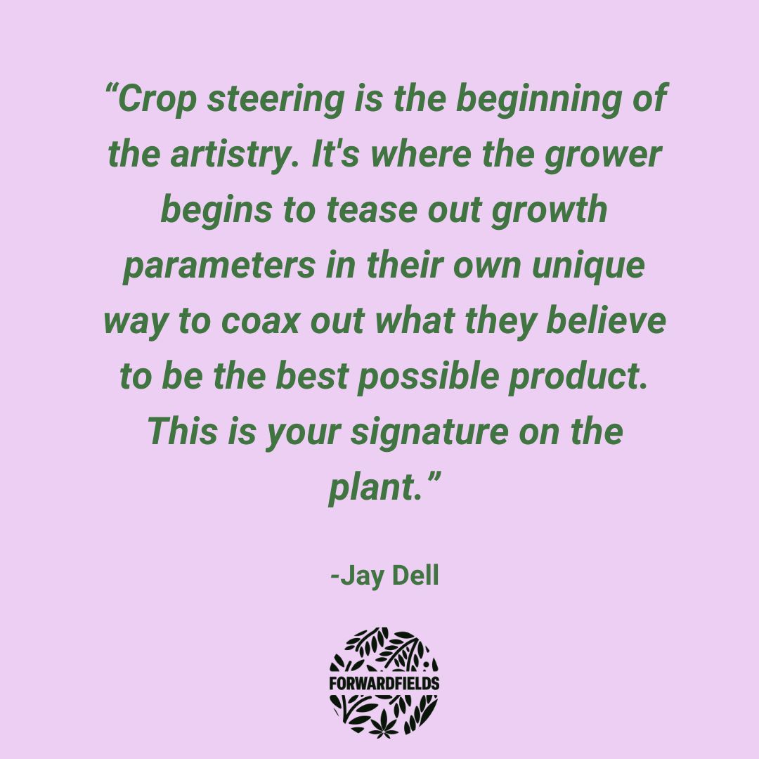 ForwardFields's tweet photo. There is art in growing. Crop steering is an example of how each grower leaves their own unique fingerprints on the plant and it's growth.

Even if with the same seeds and soil, the collaboration between the plant and it's keeper can make for big differences. https://t.co/lKiKqqQhPG