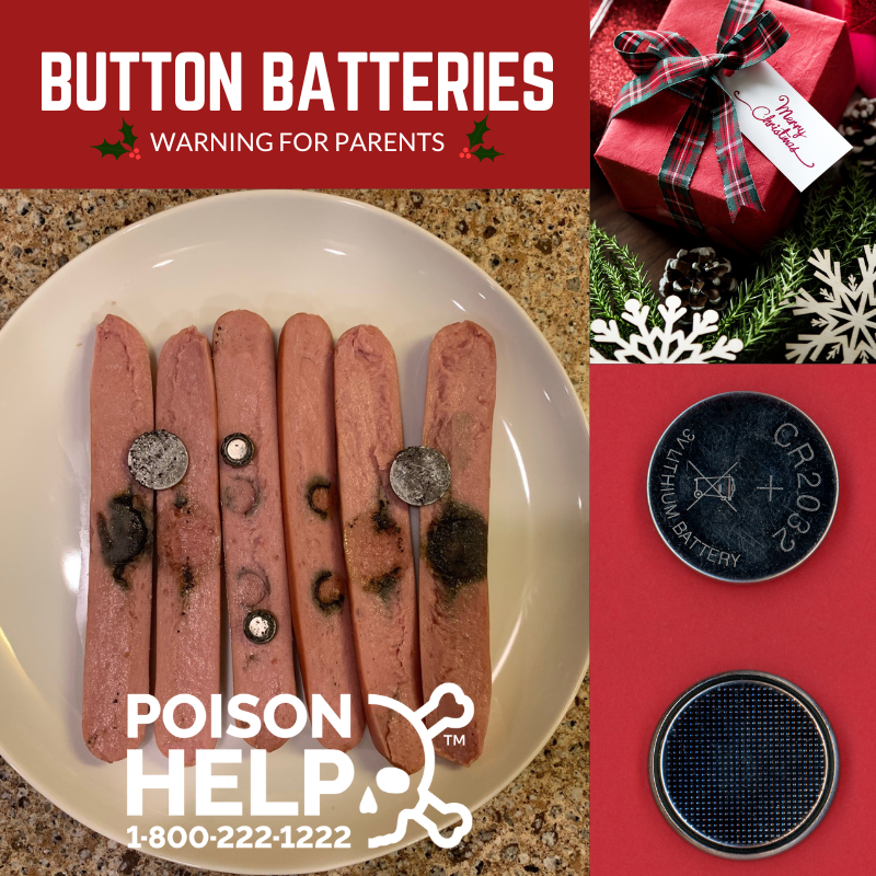 MNpoisoncenter's tweet image. Button batteries are small but pose a BIG risk if swallowed!🚨 Keep a close eye on kids &amp;amp; pets around toys, ornaments, light up or musical cards, &amp;amp; devices with button batteries. Call us immediately if one is swallowed: 1-800-222-1222
#buttonbatterysafety
