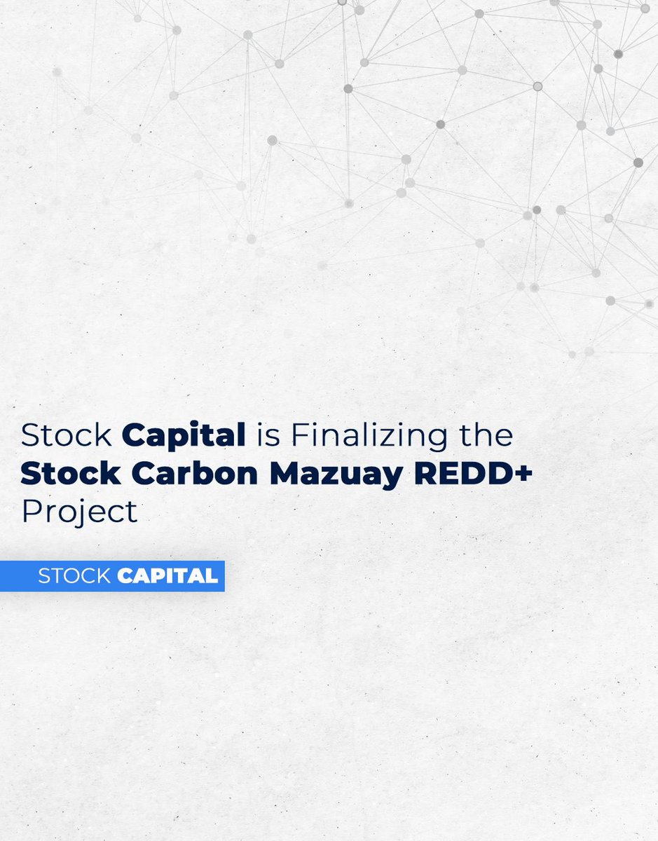 Stock Capital is concluding the Stock Carbon Mazuay REDD+ Project, adhering to Verra standards and the VCS and CCB methodologies. This project aims to reduce greenhouse gas (GHG) emissions, conserve biodiversity, and empower local communities.

Located in Silves, Amazonas, the