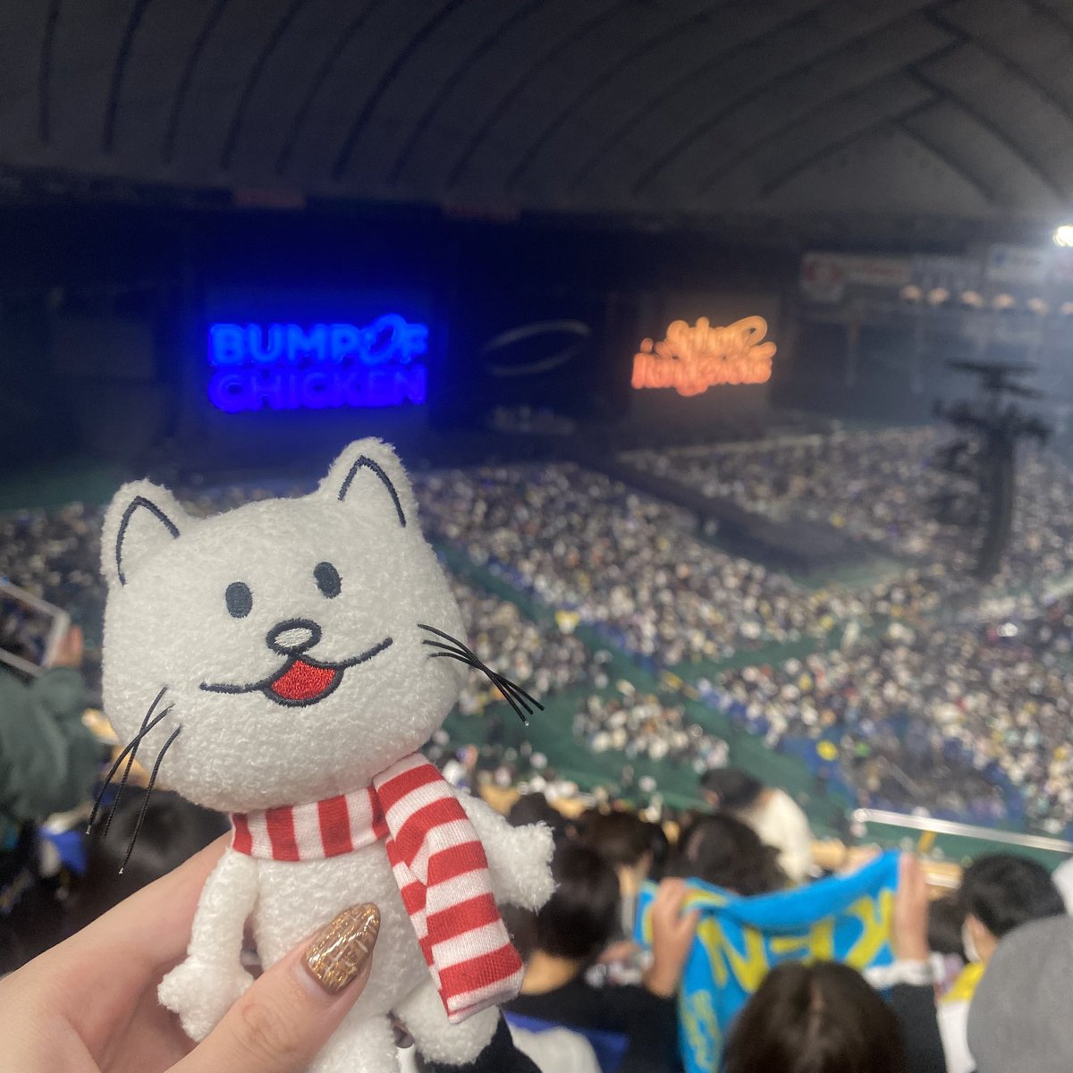 音楽も当たり前に良かったんだけど、
MCのひとつひとつの言葉がすごく胸に刺さった。

存在していていいよって言われてるようなそんなライブでした。
人生初めてのライブがBUMP OF CHICKENで良かった!!

 #SpheryRendezvous