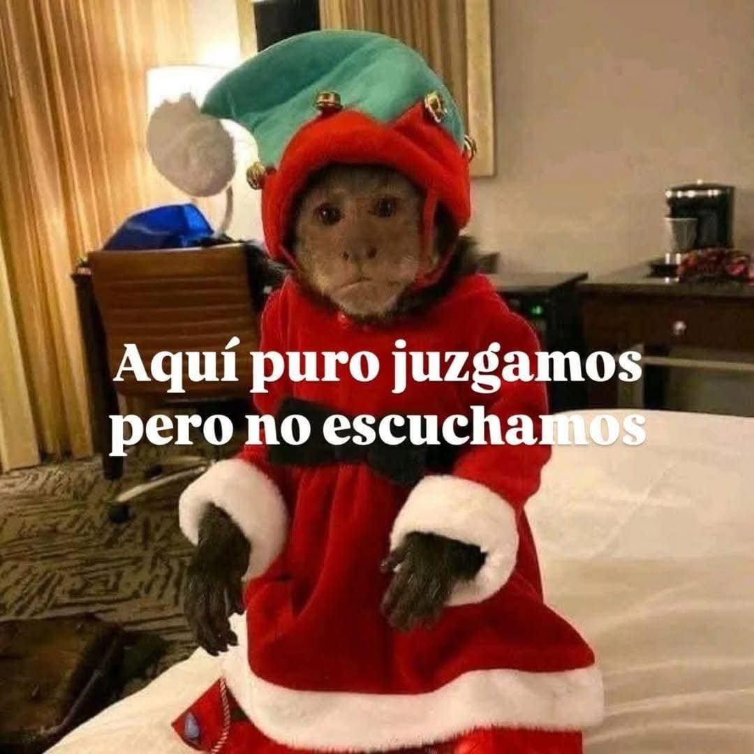 Yarilup's tweet photo. @paquiriato https://t.co/1ihh2oHVY4