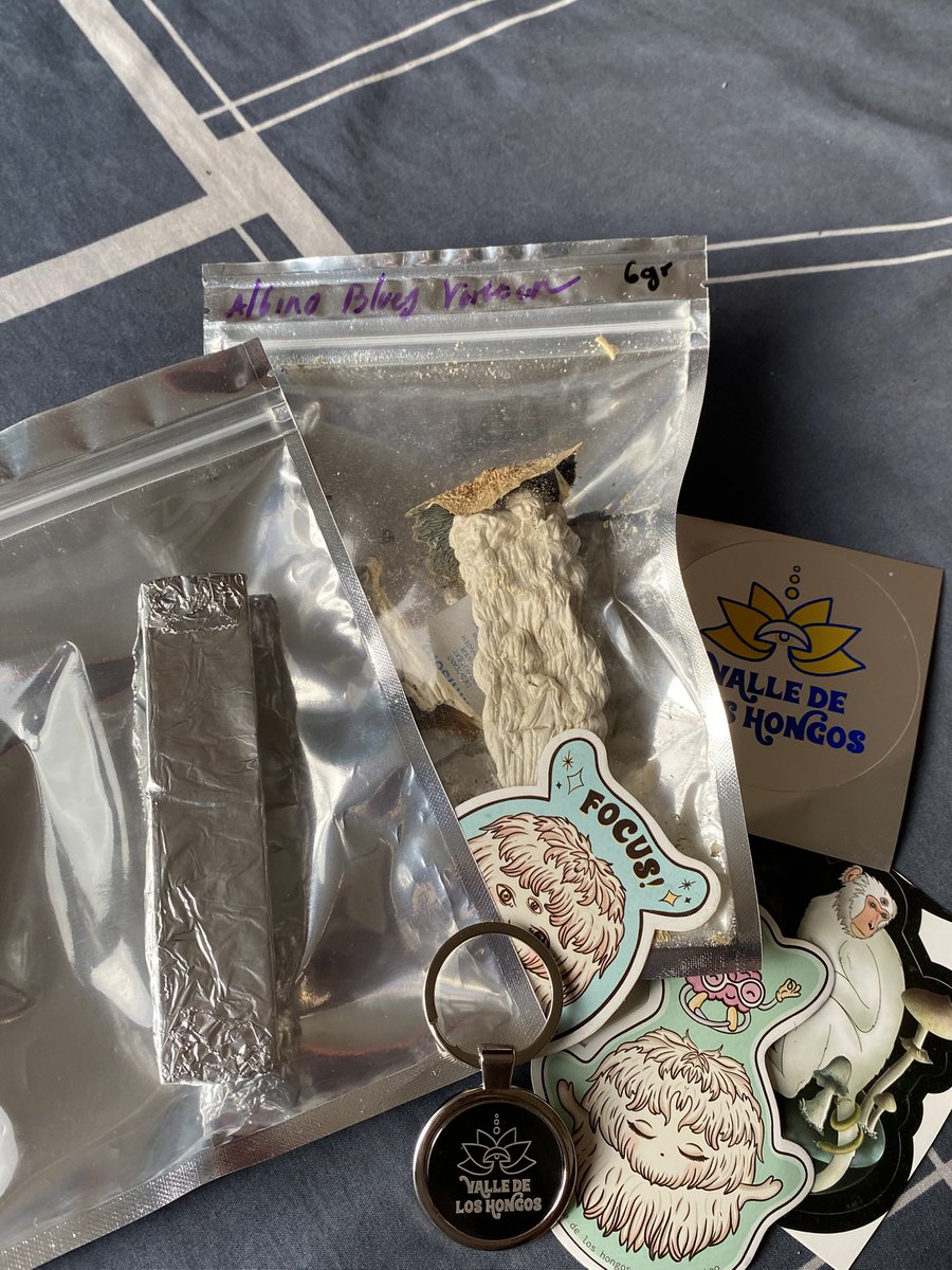 Muchachos si han pensado en tener alguna clase de experiencia espiritual de re conexión <a href="/ValledelosHong/">VALLE_DE_LOS_HONGOS</a> tiene la respuesta para ti 😼🫵🏼 atención personalizada todxs 🤙🏼