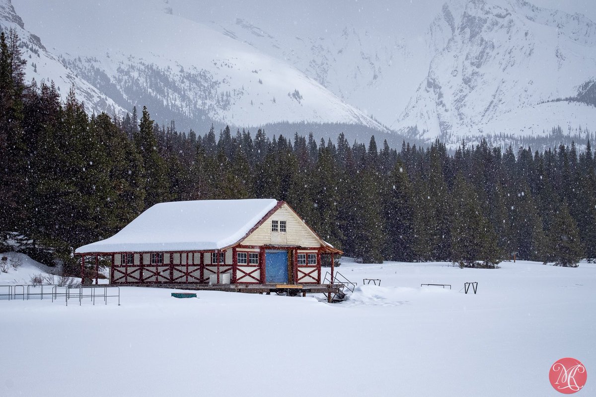 It’s December. Can’t believe gotta get ready for Christmas already. Are you ready? 

#yeg #winter #alberta #rockies #landscape #landscapephotography #exploring #mountains