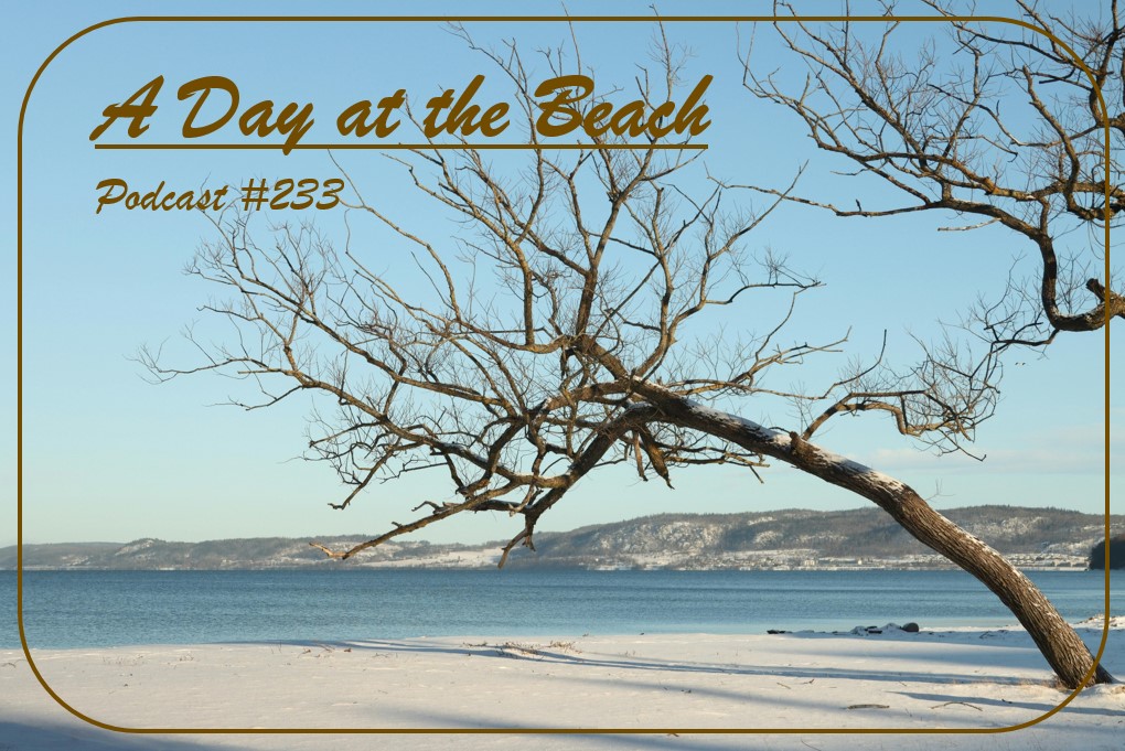 Another new "A Day at the Beach" podcast is up and running...#233. Instrumental surf bands from:  Canada, Germany, Mexico, Argentina, Belgium, UK, and the USA.  This show does have a few surf Christmas tunes, but mostly new releases in the world of surf.  Listening links in bio.