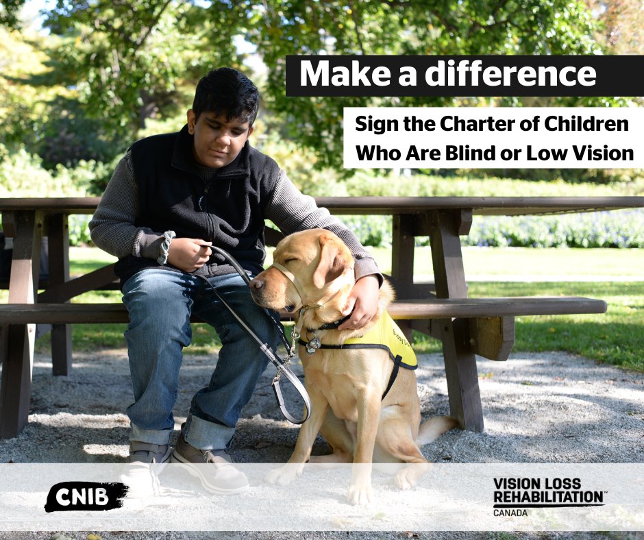 Vision Loss Rehabilitation Canada tweet media