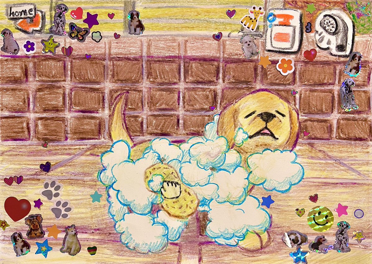 Myles 🥝SHOP OPEN tweet media