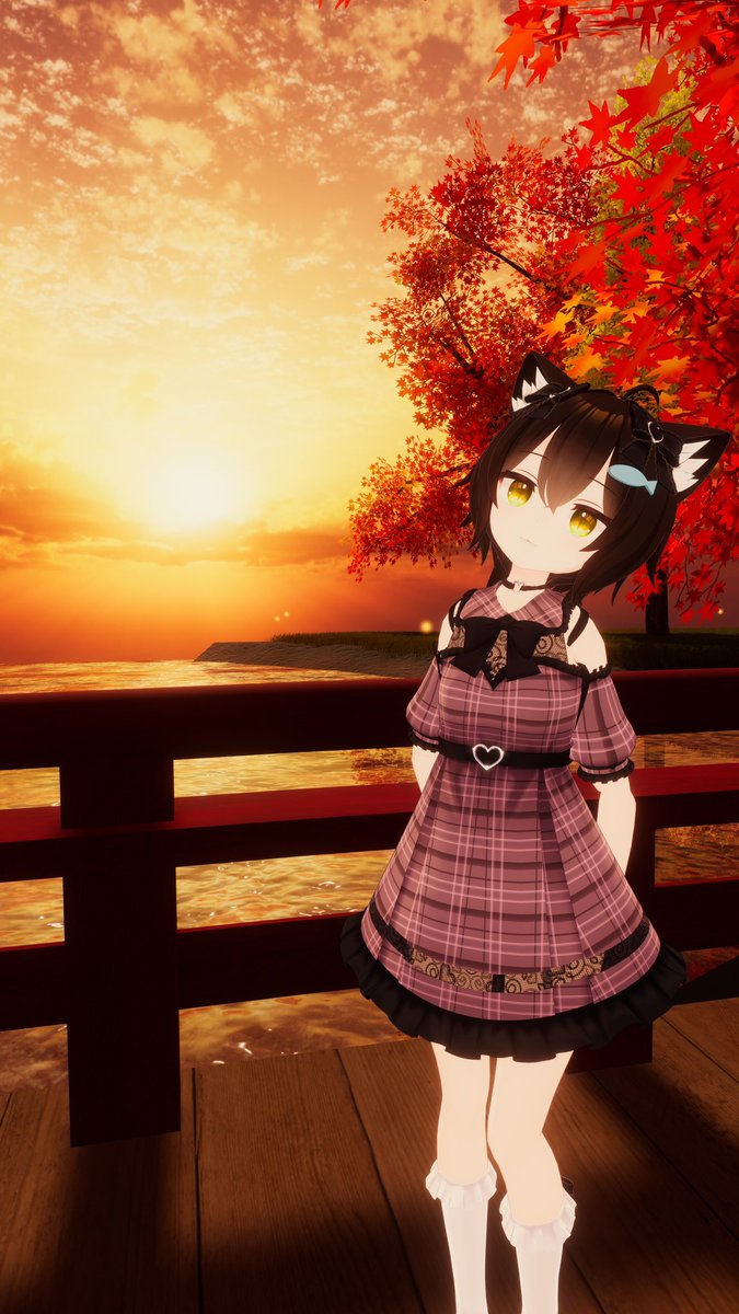 おはようございます☀
今日は週の真ん中、水曜日ですね