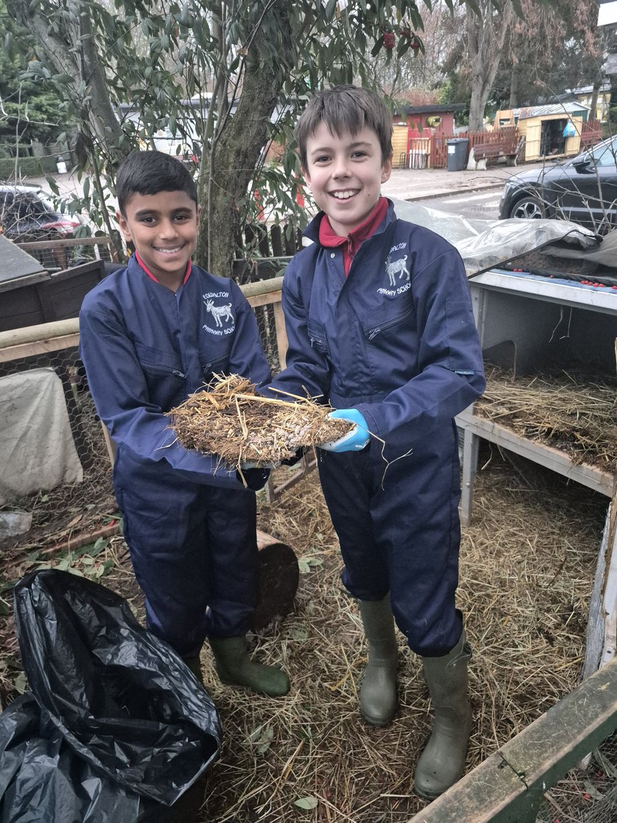 We've been working hard after school to clean out the small animals this week!