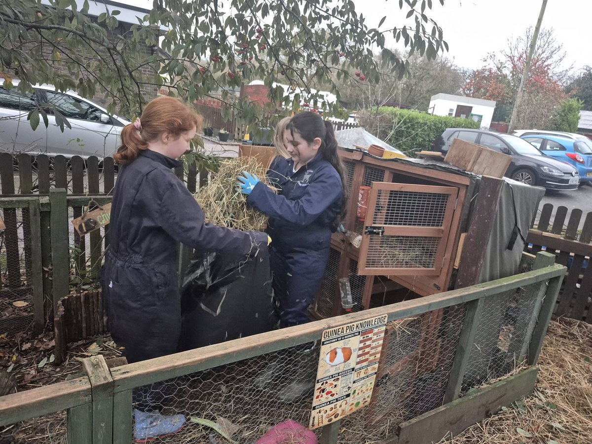 Edwalton Primary tweet media