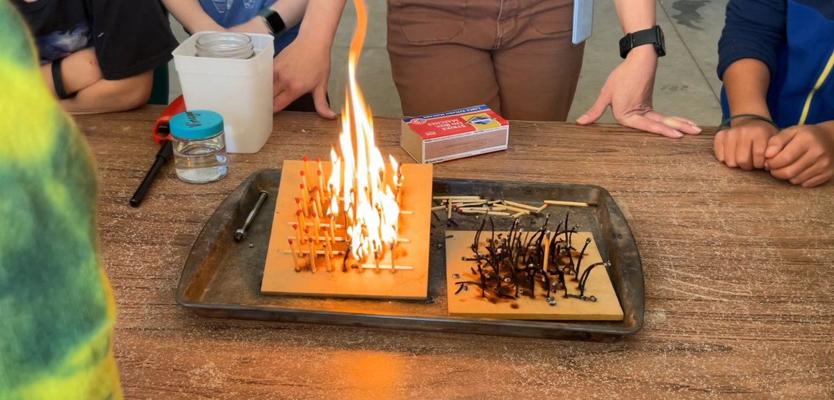 Sarah L Wegert 😎 tweet media