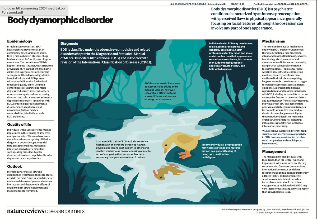 Christian Rück tweet media