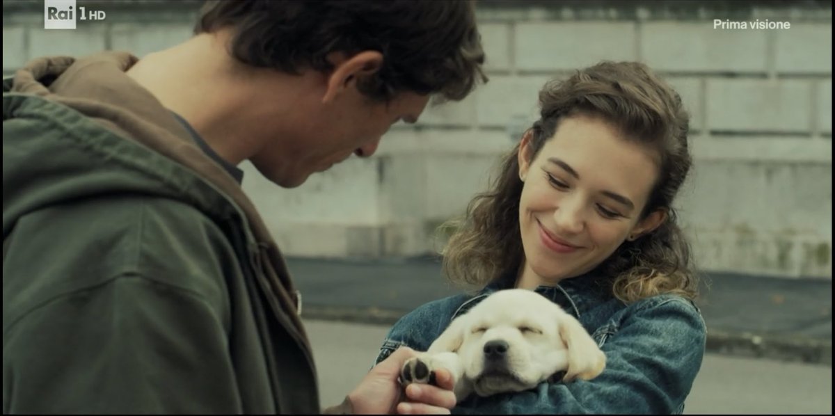 tuttalavjta's tweet image. la dose di cuccioleria è triplicata 
#libera