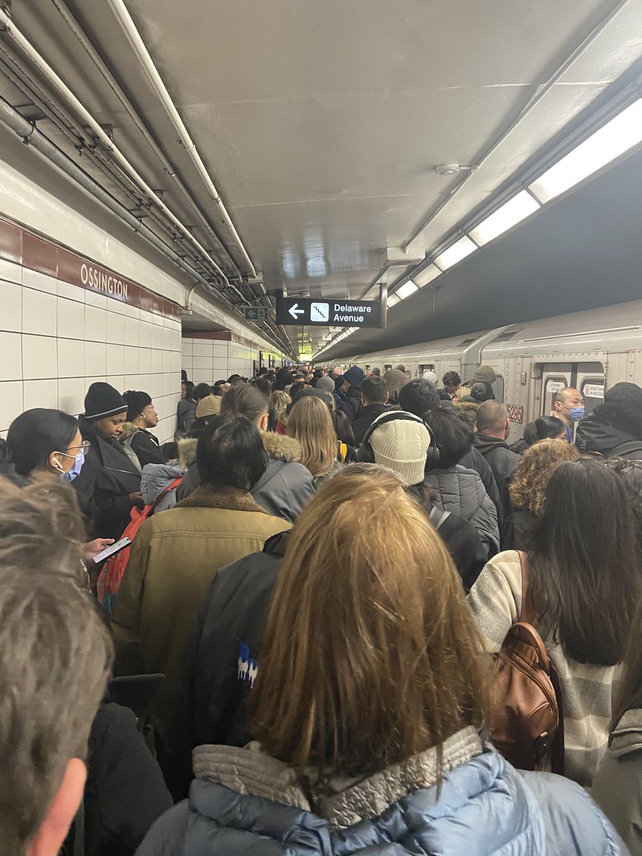 Graça Nolan tweet media