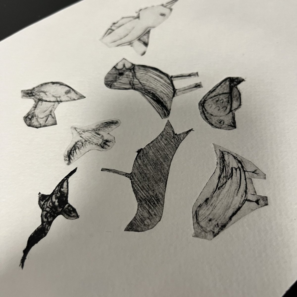 Chaap du Collège Makeba—Lille tweet media