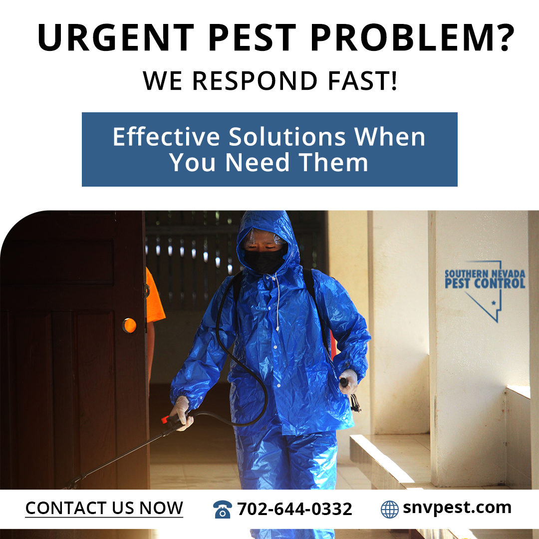 SNVPest's tweet image. 🚨 Urgent pest problem? We respond fast with effective solutions when you need help! 📞 702-644-0332 🌐 snvpest.com

#EmergencyPestControl #PestControl #FastResponse