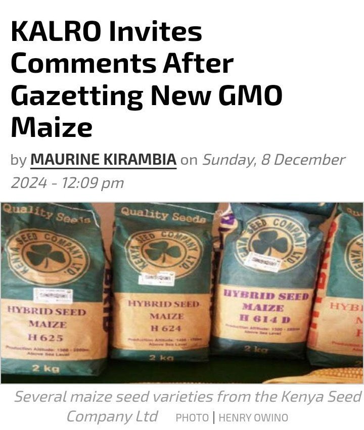 Fredmunene_'s tweet photo. The battlefield of the future is the farm. The most powerful weapon is food, and the ultimate control lies in the seeds. Indigenous seeds are our freedom, and we must protect them from the onslaught of GMO crops.
#RejectGMOMaize https://t.co/G3yjOBhLfi