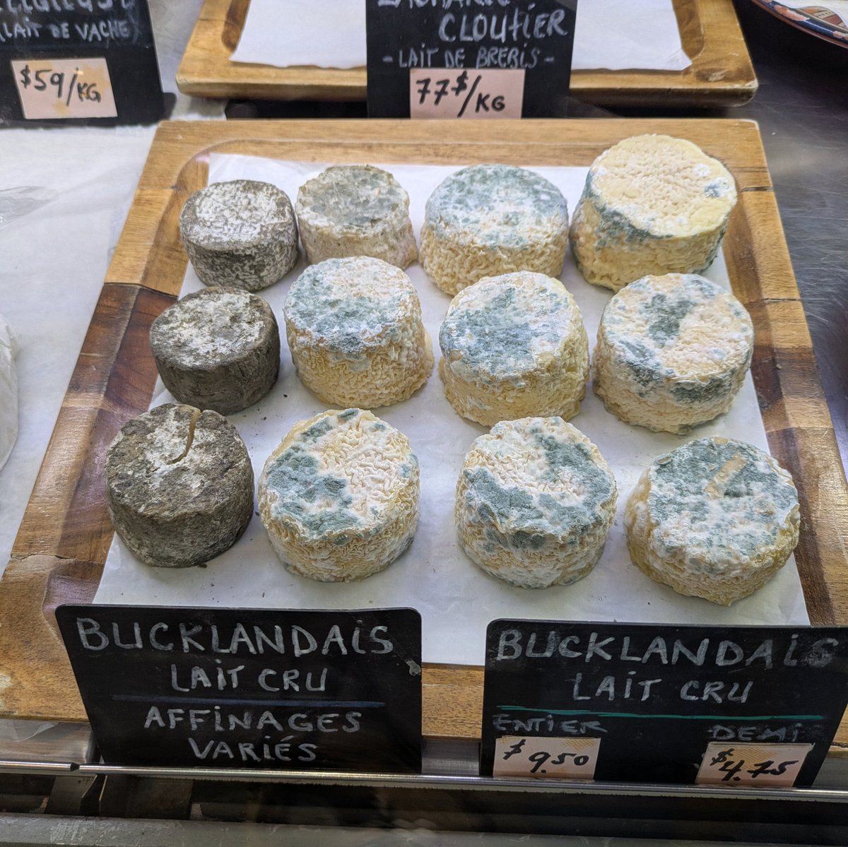 No fungi, no cheese... 😃