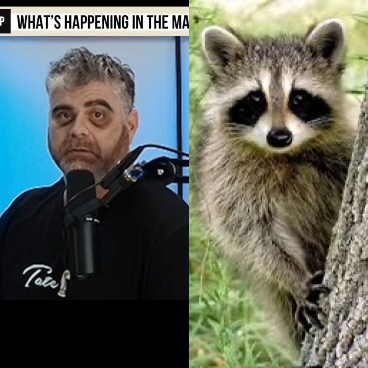 MicahPW20's tweet image. 😂😂😂 I would tag Bitboy but he blocked me…..again lmao. Everybody else on X can post jokes about him and not get blocked except for me 🤷🏼‍♂️ @BenArmstrongsX