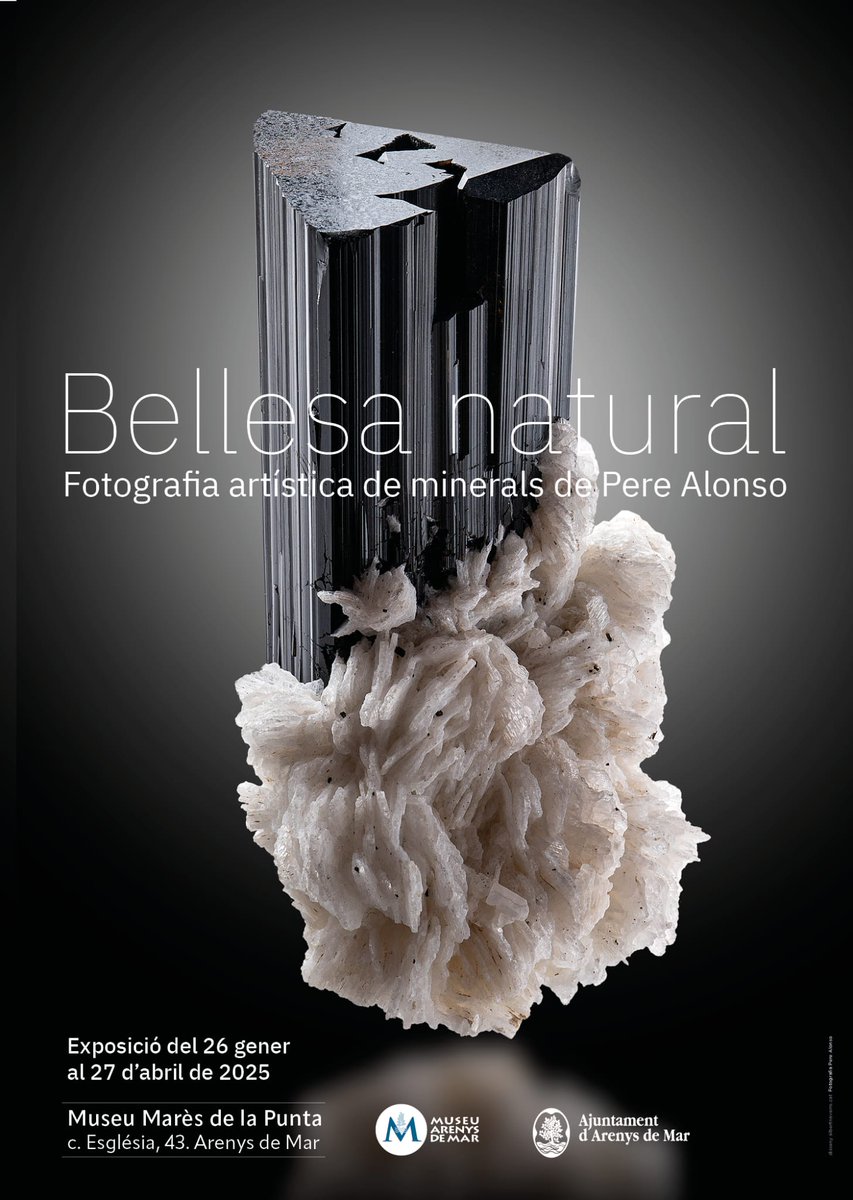 La nova exposició temporal del <a href="/MuseuArenysMar/">Museu Arenys de Mar</a> estarà dedicada a la fotografia de minerals de Pere Alonso.
Anoteu a les agendes.
✅ 26 de gener de 2025