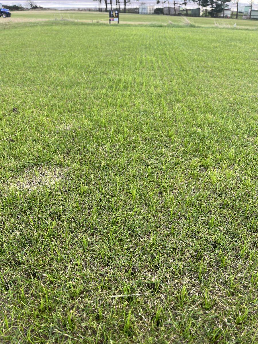 George Corbett (@g30_67) on Twitter photo November overseed really paying off on tees & approaches. Ultrafine100 flying out the ground. <a href="/BarenbrugUK/">Barenbrug UK</a> <a href="/grogreenkevan/">@GroGreenKevan</a> November overseed really paying off on tees & approaches. Ultrafine100 flying out the ground. <a href="/BarenbrugUK/">Barenbrug UK</a> <a href="/grogreenkevan/">@GroGreenKevan</a>