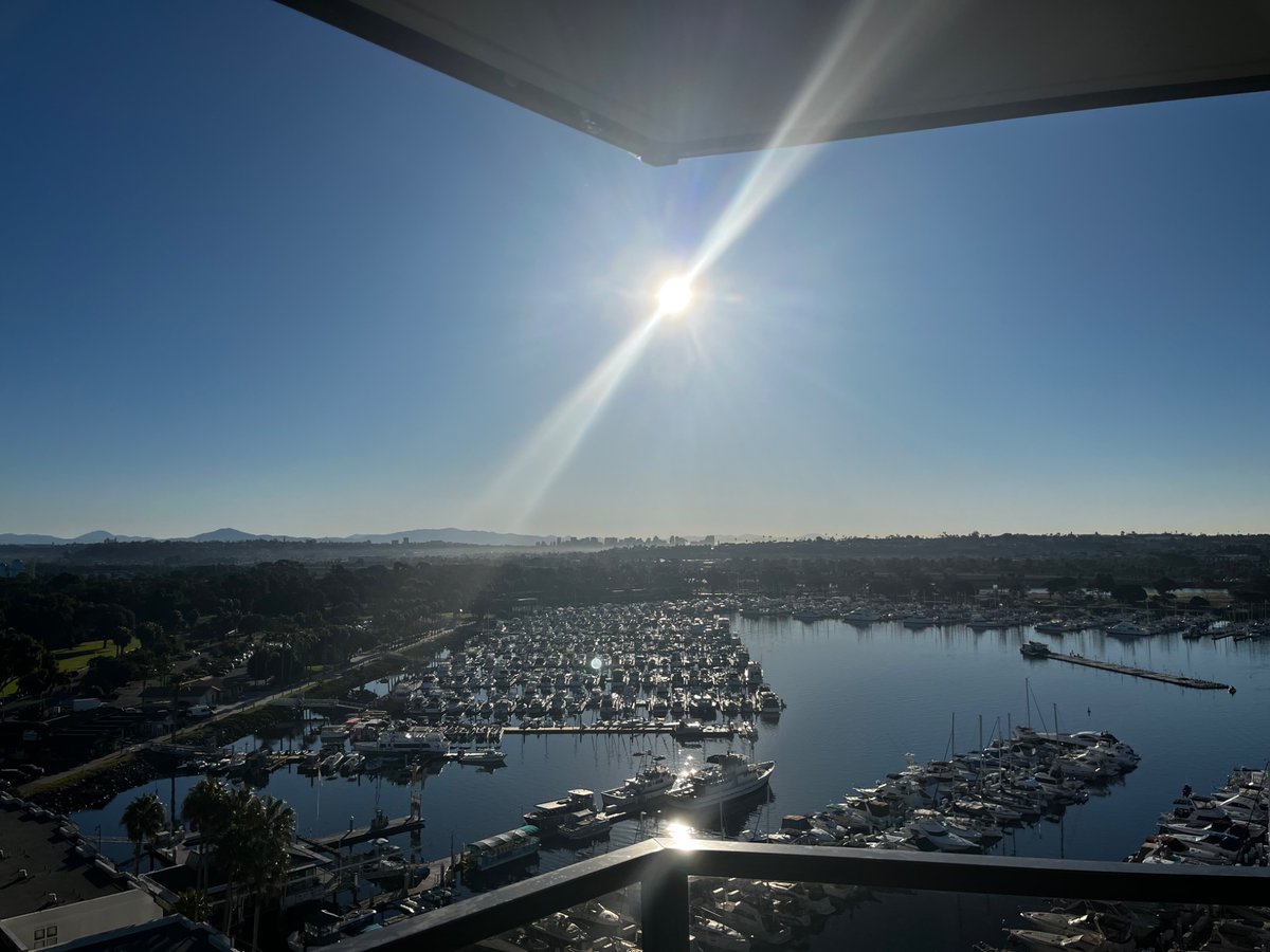 Rhesus🩸donor 🅱️⛔️ tweet media