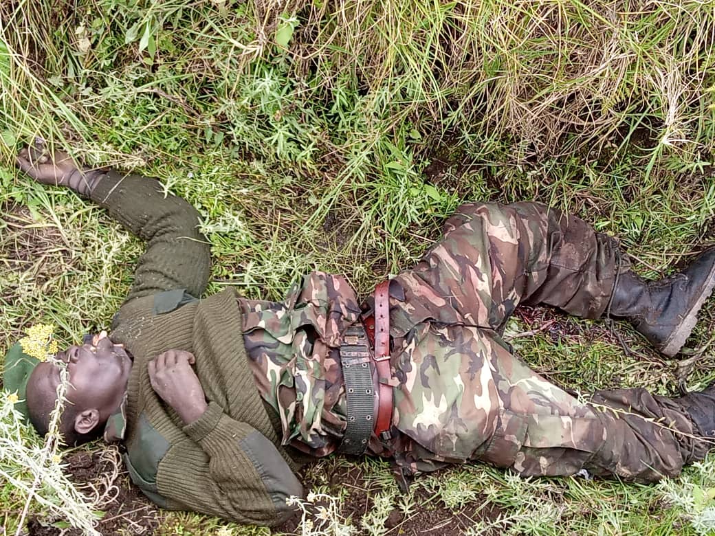 DRCNewsToday's tweet photo. Les #M23 acculés sur tous les fronts.
Pendant ce temps, les Vaillants #FARDC, faisant preuve d'une résilience impressionnante, maintiennent une pression constante sur les positions ennemies. Leur courage et leur discipline sont manifestes à chaque #escarmouche.
Plusieurs M23 tués https://t.co/cTXWFtwAr6