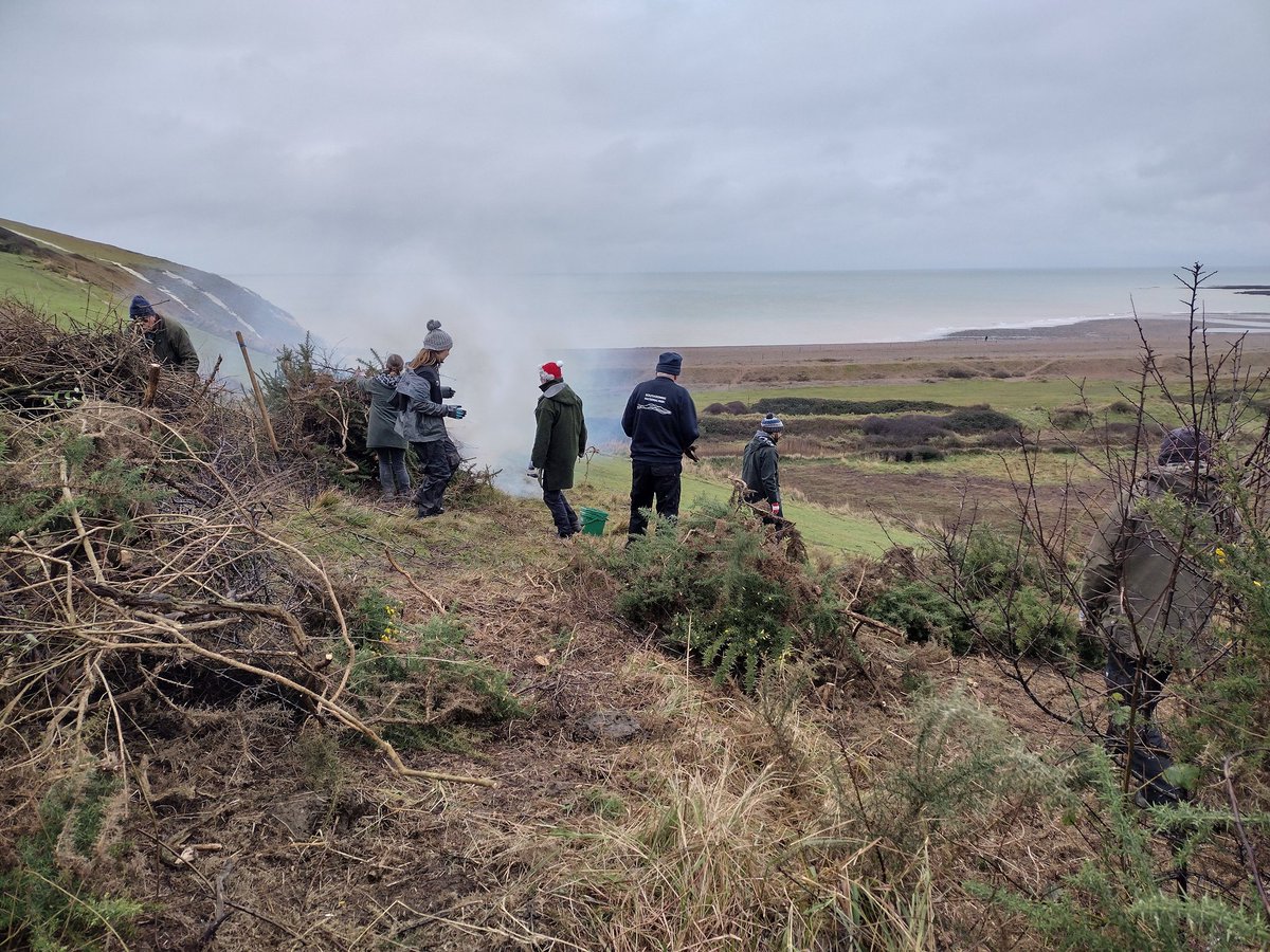 Debbie Alston tweet media