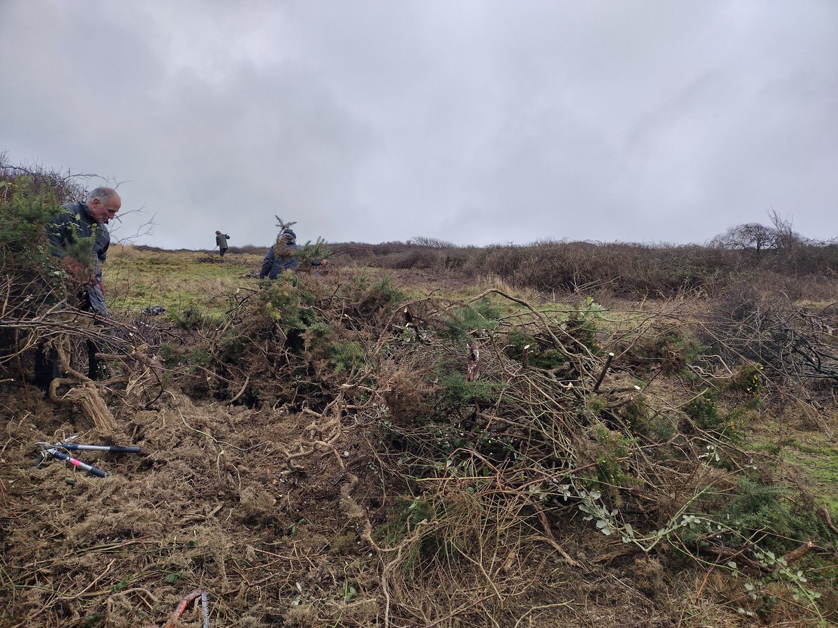 Debbie Alston (@debbie1alston) on Twitter photo Big pre- Christmas <a href="/sdnpa/">South Downs National Park</a> volunteer task today. Scrub clearing on part of <a href="/SevenSistersCP/">Seven Sisters Country Park</a> . Must have been about 20 volunteers out today! Big pre- Christmas <a href="/sdnpa/">South Downs National Park</a> volunteer task today. Scrub clearing on part of <a href="/SevenSistersCP/">Seven Sisters Country Park</a> . Must have been about 20 volunteers out today!