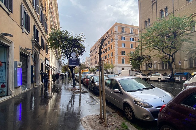 📣Verde, terminata la riqualificazione arborea di via Cola di Rienzo

🌳95 nuove piante appartenenti al genere "Cercis" hanno sostituito piante abbattute e occupato spazi precedentemente vuoti

Info: tinyurl.com/35svcrd9