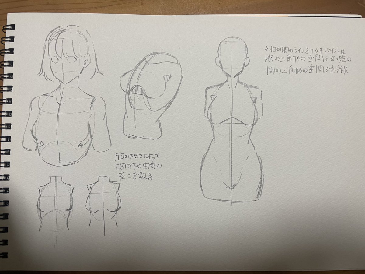 連の習 
