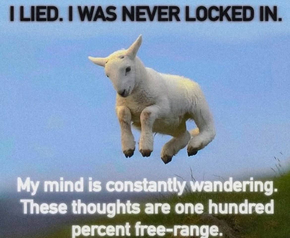 TiffHuber's tweet photo. No factory farmed thoughts. 🥰 https://t.co/YNNIZ0AWrz