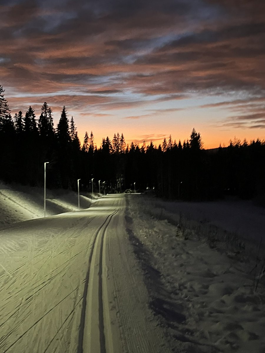 AkiPuustinen's tweet photo. Meinasi mennä maisemaa katellessa #pertsaa https://t.co/9crWYkTmOx