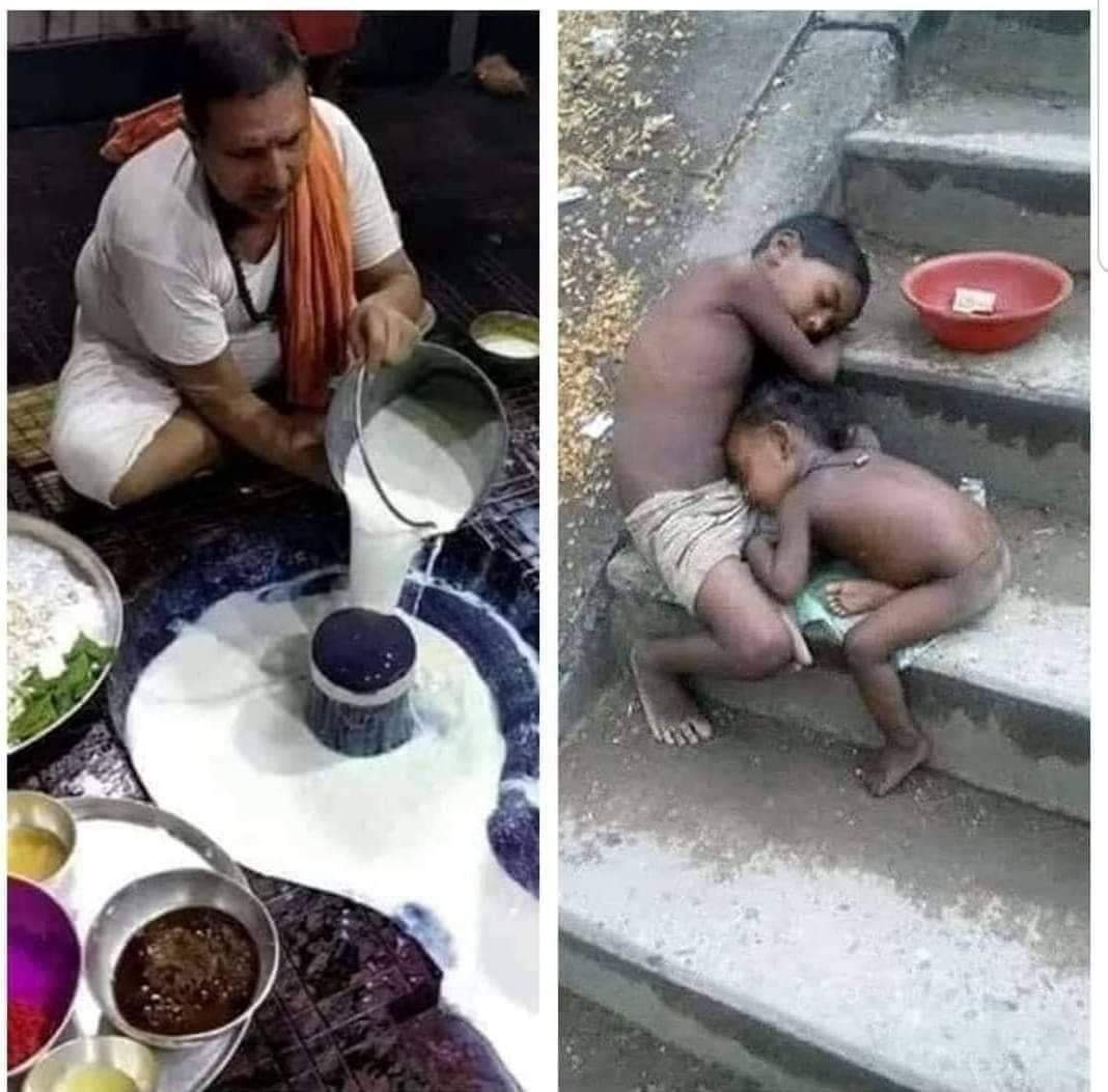 amita_ambedkar's tweet photo. दूध की जरूरत ज्यादा किसे है, इस तस्वीर के माध्यम से फर्क साफ दिखाई दे रहा है। https://t.co/Z0oaVX97uE