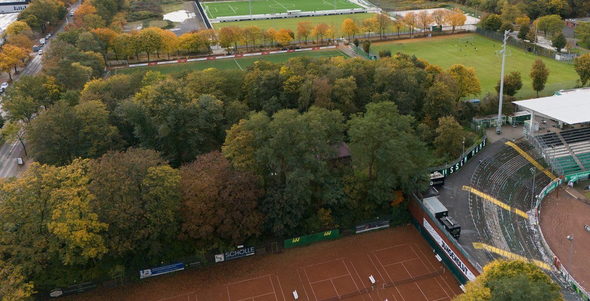 Ab Mittwoch werden am #Preußenstadion rund 80 Bäume gefällt und Grünflächen gerodet - für den Stadionumbau ist das notwendig. Reden wir nicht drumherum: Das wird sich scheiße anfühlen. preussenjournal.de/80-baeume-werd… #stadion #scp06