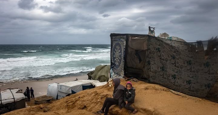 AnyHashish's tweet image. There are many sources of cold, starting with a worn-out tent that does not block the wind.
And the worn clothes that do not protect the small bodies and the deep fear🥺
The harsh cold winds seem to conspire with reality to make the scene more cruel and

gofundme.com/f/support-a-di…