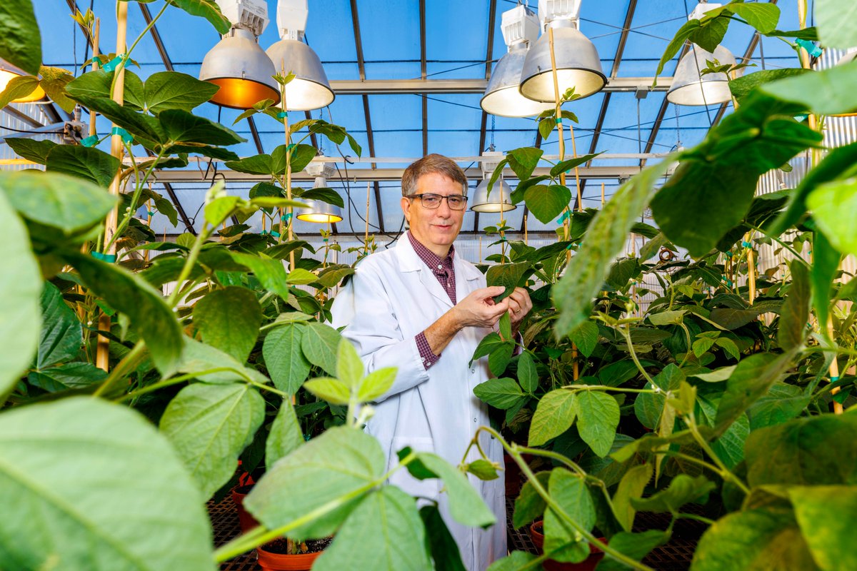 Nebraska Today (@nebtoday) on Twitter photo Congratulations to <a href="/UNL_Biochem/">Nebraska Biochem</a>'s Edgar Cahoon, who has been named a fellow of the prestigious National Academy of Inventors (<a href="/AcadofInventors/">National Academy of Inventors</a>). Details: go.unl.edu/i5na #Nebraska #UNL #LNK <a href="/UNL_IANR/">Institute of Agriculture and Natural Resources</a> <a href="/unlcas/">Nebraska CAS</a> <a href="/UNLresearch/">Nebraska Research</a> Congratulations to <a href="/UNL_Biochem/">Nebraska Biochem</a>'s Edgar Cahoon, who has been named a fellow of the prestigious National Academy of Inventors (<a href="/AcadofInventors/">National Academy of Inventors</a>). Details: go.unl.edu/i5na #Nebraska #UNL #LNK <a href="/UNL_IANR/">Institute of Agriculture and Natural Resources</a> <a href="/unlcas/">Nebraska CAS</a> <a href="/UNLresearch/">Nebraska Research</a>