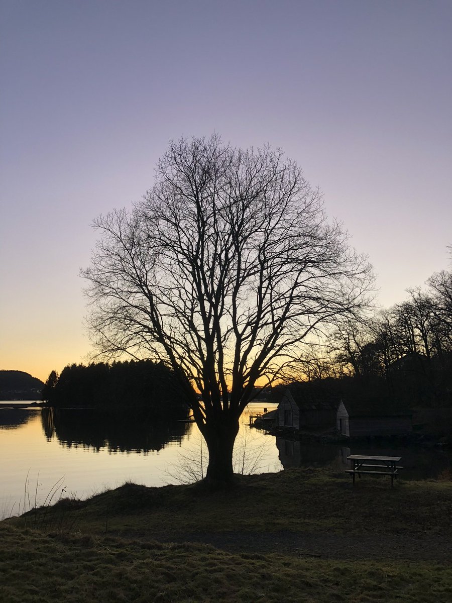 Olga Cath. Sellevold tweet media