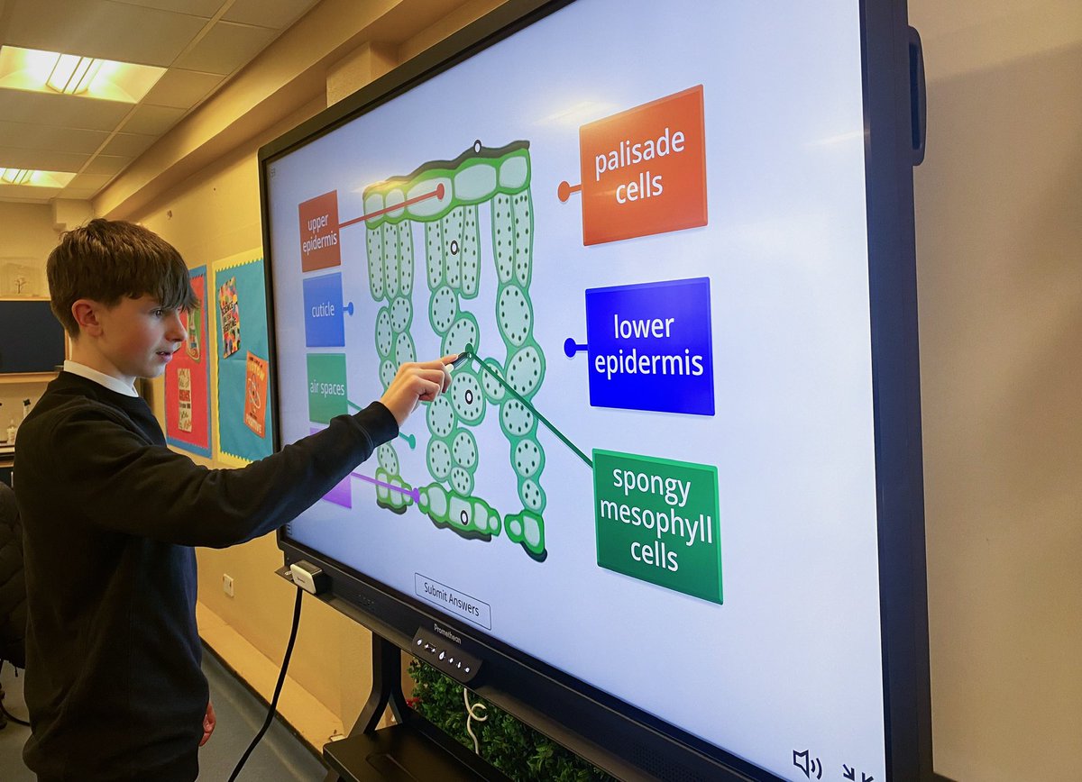 Mr Fraser tweet media