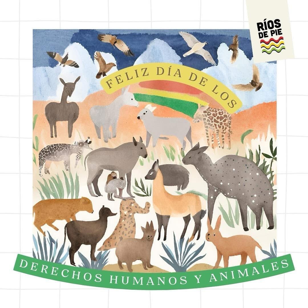 RiosDePie's tweet image. Para nuestro movimiento hoy es un día muy especial, es el Día de los Derechos Humanos y de los Animales. Un buen día para recordar que la justicia y la dignidad no tienen fronteras ni especies. Este año, los incendios arrasaron millones de hectáreas en Bolivia…