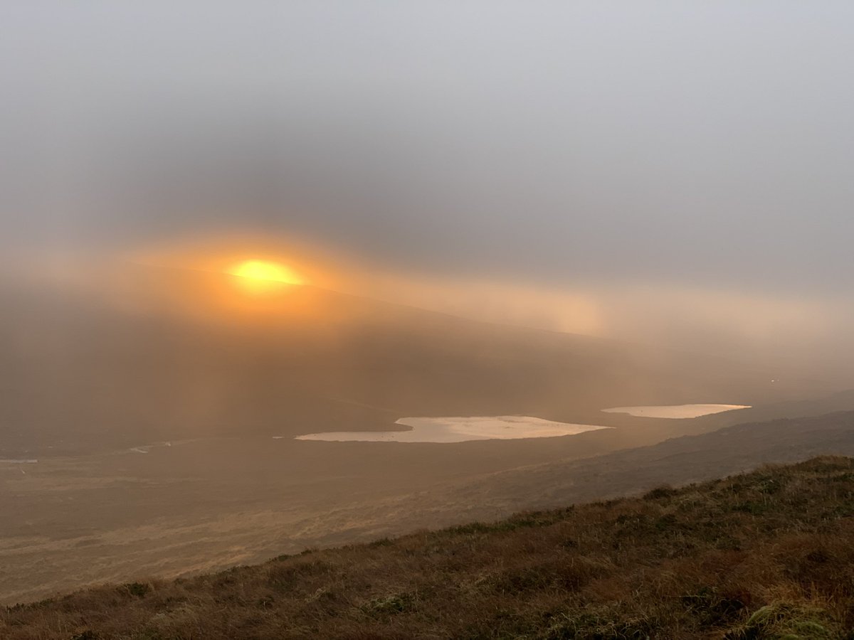 Sub optimal on the VP today. One cormorant and two raven. Got a blink of sun about 90 seconds from the end!