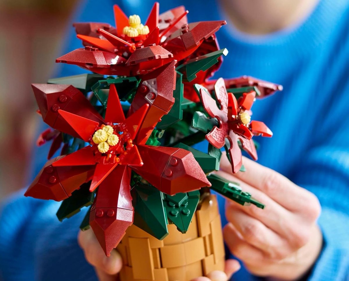 frugalfreebies's tweet image. Have you ever tried a DIY project for the holidays? How did it turn out?  

LEGO Icons Poinsettia Building Set - 608pcs
30% price drop
Amazon: amzlink.to/az0zqFP6CeClD (ad)

#HolidayDIY #LEGOForAdults #CreativeDecor #FestiveVibes #PoinsettiaLove #LEGOLife