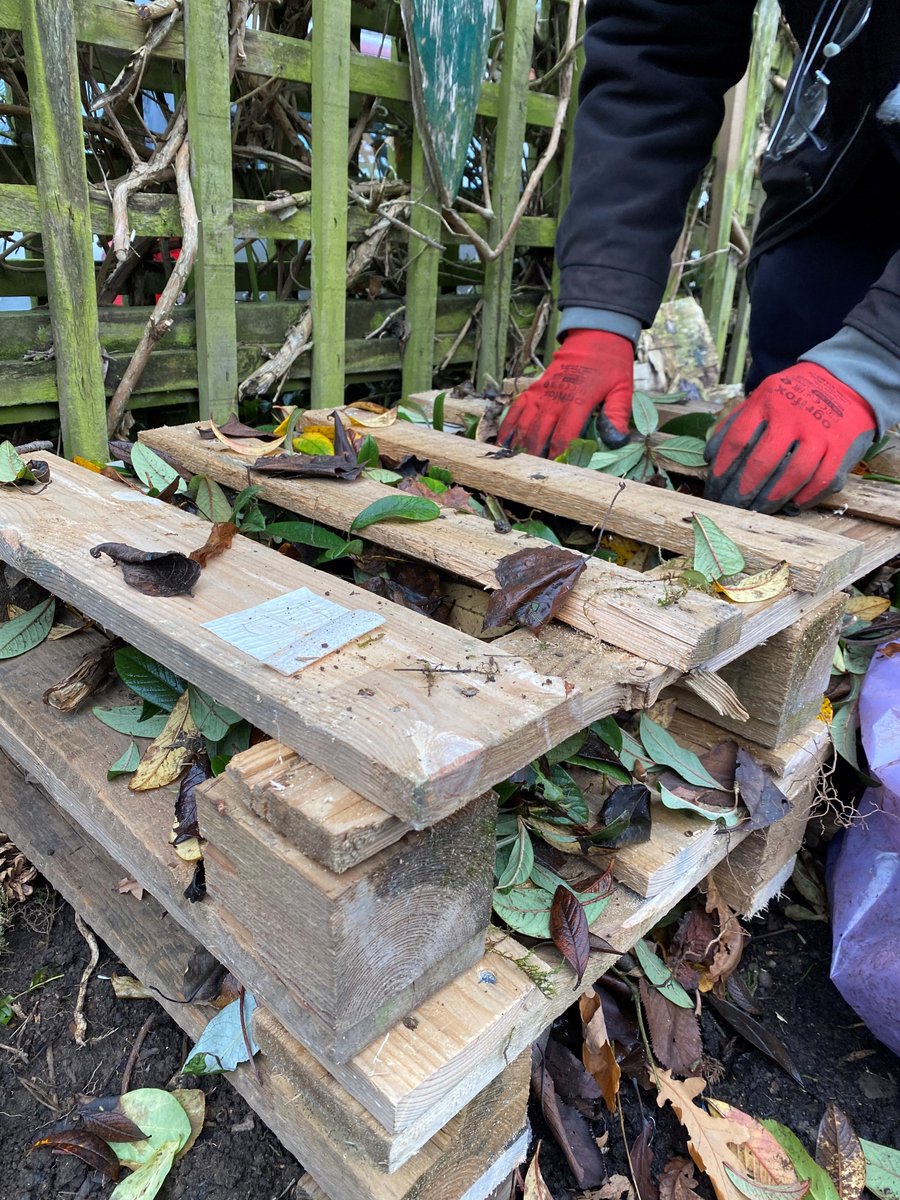 Therapeutic Intervention Service tweet media