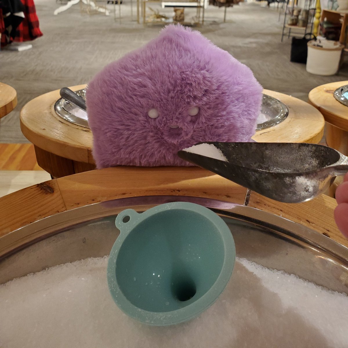 sucklet. tweet media