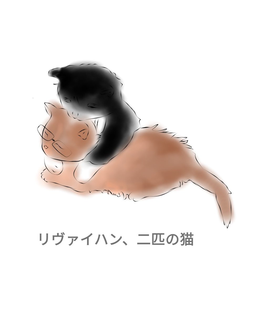 e_amok44's tweet photo. レヴィハン猫はつがいのネコ科動物です 

levihan beautiful cats 
#levihan #リヴァイハン https://t.co/aFFIbp4GOe